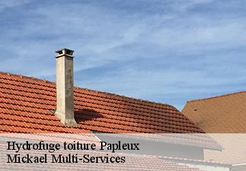 Hydrofuge toiture papleux-02260 Mickael Multi-Services