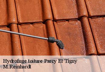 Hydrofuge toiture  parcy-et-tigny-02210 M.Reinhardt