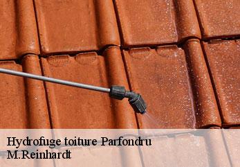 Hydrofuge toiture  parfondru-02840 M.Reinhardt