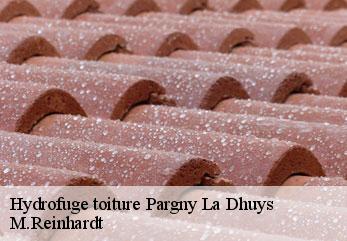 Hydrofuge toiture  pargny-la-dhuys-02330 M.Reinhardt