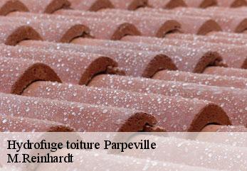 Hydrofuge toiture  parpeville-02240 M.Reinhardt