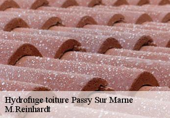 Hydrofuge toiture  passy-sur-marne-02850 M.Reinhardt