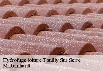 Hydrofuge toiture  pouilly-sur-serre-02270 M.Reinhardt
