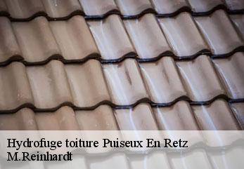 Hydrofuge toiture  puiseux-en-retz-02600 M.Reinhardt