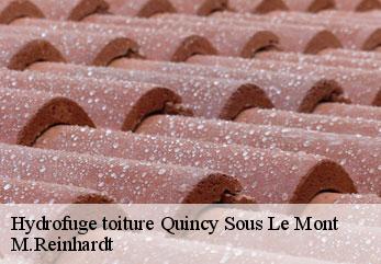 Hydrofuge toiture  quincy-sous-le-mont-02220 M.Reinhardt