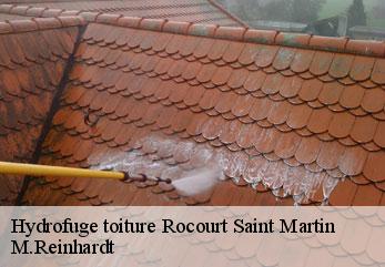 Hydrofuge toiture  rocourt-saint-martin-02210 M.Reinhardt