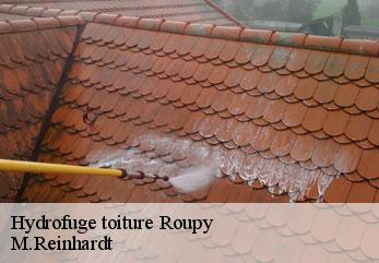 Hydrofuge toiture  roupy-02590 M.Reinhardt
