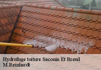 Hydrofuge toiture  saconin-et-breuil-02200 M.Reinhardt
