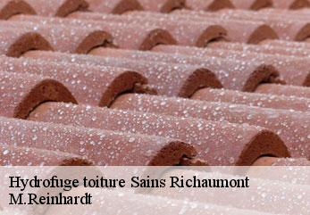 Hydrofuge toiture  sains-richaumont-02120 M.Reinhardt