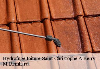 Hydrofuge toiture  saint-christophe-a-berry-02290 M.Reinhardt