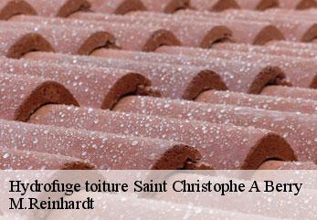 Hydrofuge toiture  saint-christophe-a-berry-02290 M.Reinhardt
