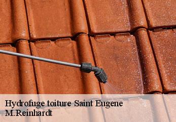 Hydrofuge toiture  saint-eugene-02330 M.Reinhardt