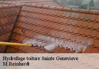 Hydrofuge toiture  sainte-genevieve-02340 M.Reinhardt