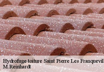 Hydrofuge toiture saint-pierre-les-franqueville-02140 M.Reinhardt