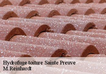 Hydrofuge toiture sainte-preuve-02350 M.Reinhardt
