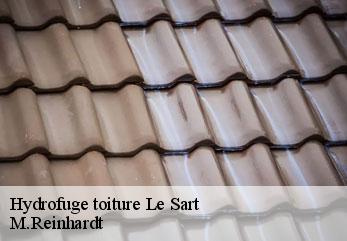 Hydrofuge toiture  le-sart-02450 M.Reinhardt