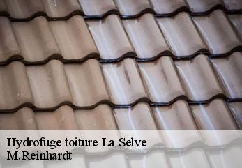 Hydrofuge toiture  la-selve-02150 M.Reinhardt