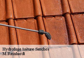 Hydrofuge toiture  serches-02220 M.Reinhardt