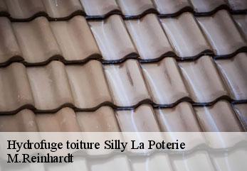 Hydrofuge toiture  silly-la-poterie-02460 M.Reinhardt