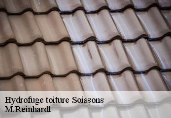Hydrofuge toiture  soissons-02200 M.Reinhardt