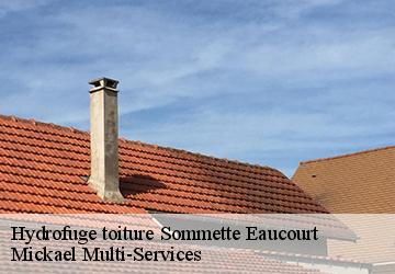 Hydrofuge toiture sommette-eaucourt-02480 Mickael Multi-Services