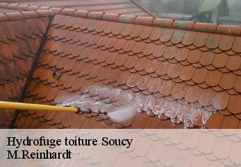 Hydrofuge toiture soucy-02600 M.Reinhardt