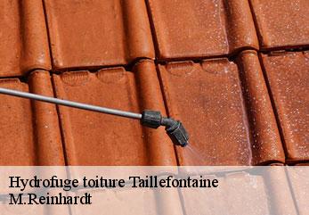 Hydrofuge toiture taillefontaine-02600 M.Reinhardt