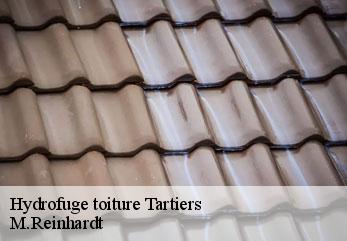 Hydrofuge toiture  tartiers-02290 M.Reinhardt