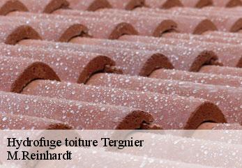 Hydrofuge toiture  tergnier-02700 M.Reinhardt