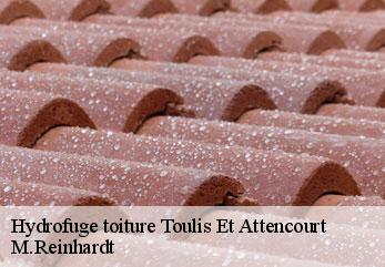 Hydrofuge toiture  toulis-et-attencourt-02250 M.Reinhardt