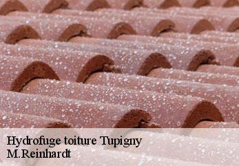 Hydrofuge toiture  tupigny-02120 M.Reinhardt
