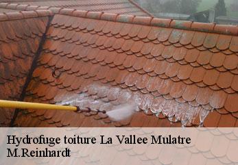 Hydrofuge toiture  la-vallee-mulatre-02110 M.Reinhardt