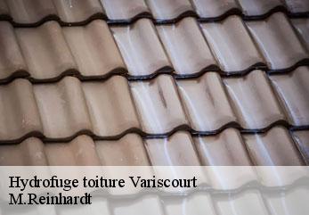 Hydrofuge toiture  variscourt-02190 M.Reinhardt