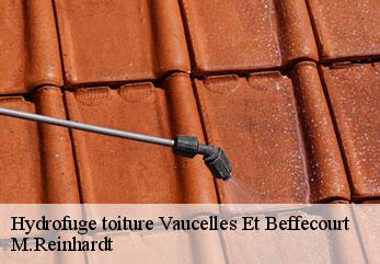 Hydrofuge toiture  vaucelles-et-beffecourt-02000 M.Reinhardt