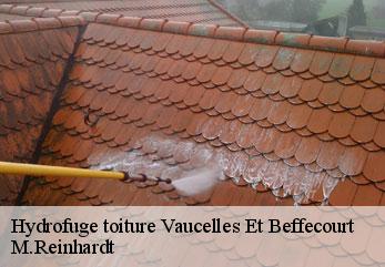 Hydrofuge toiture  vaucelles-et-beffecourt-02000 M.Reinhardt