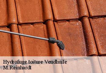 Hydrofuge toiture vendhuile-02420 M.Reinhardt