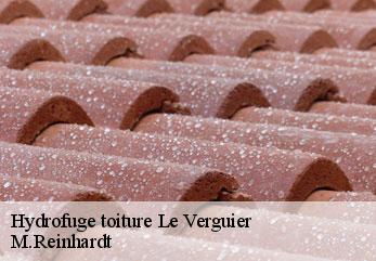 Hydrofuge toiture  le-verguier-02490 M.Reinhardt