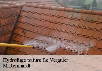 Hydrofuge toiture  le-verguier-02490 M.Reinhardt