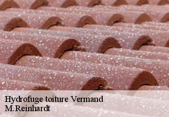 Hydrofuge toiture  vermand-02490 M.Reinhardt