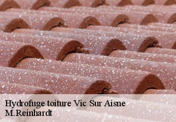Hydrofuge toiture  vic-sur-aisne-02290 M.Reinhardt
