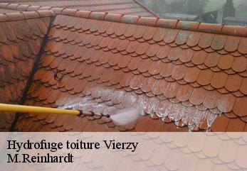 Hydrofuge toiture  vierzy-02210 M.Reinhardt
