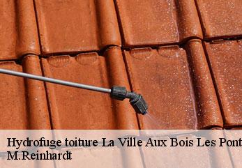 Hydrofuge toiture la-ville-aux-bois-les-pontavert-02160 M.Reinhardt