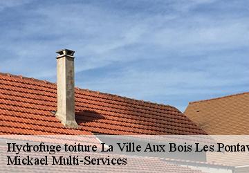 Hydrofuge toiture la-ville-aux-bois-les-pontavert-02160 Mickael Multi-Services