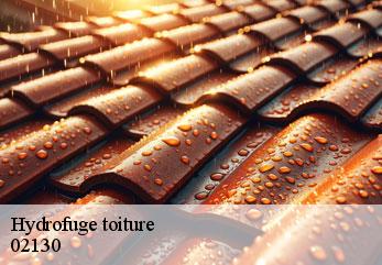 Hydrofuge toiture villeneuve-sur-fere-02130 M.Reinhardt