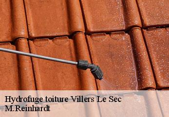 Hydrofuge toiture  villers-le-sec-02240 M.Reinhardt