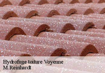 Hydrofuge toiture  voyenne-02250 M.Reinhardt