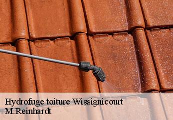 Hydrofuge toiture  wissignicourt-02320 M.Reinhardt