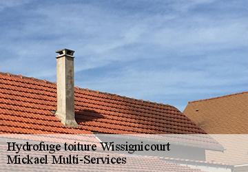 Hydrofuge toiture wissignicourt-02320 Mickael Multi-Services
