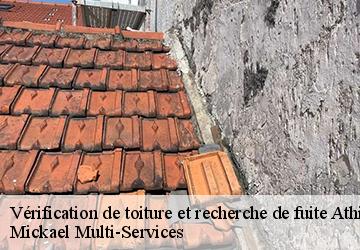 Vérification de toiture et recherche de fuite athies-sous-laon-02840 Mickael Multi-Services