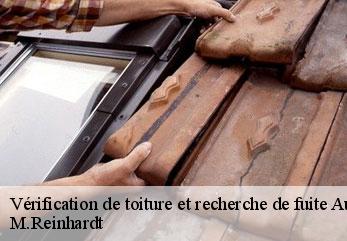 Vérification de toiture et recherche de fuite  aubigny-en-laonnois-02820 M.Reinhardt